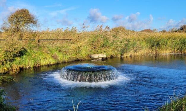 Waterkwaliteit Rijn blijft achter bij doelstellingen